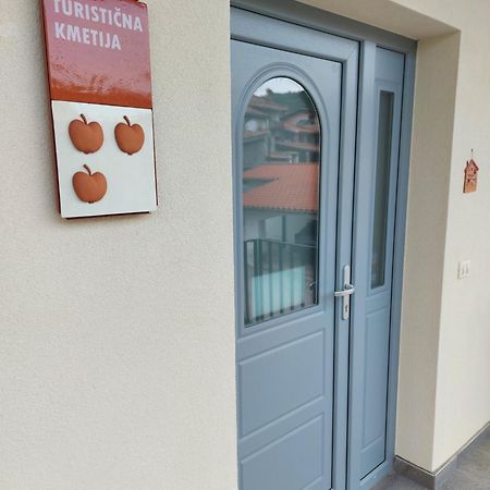 Apartmaji Aucin - Brda Kojsko Экстерьер фото
