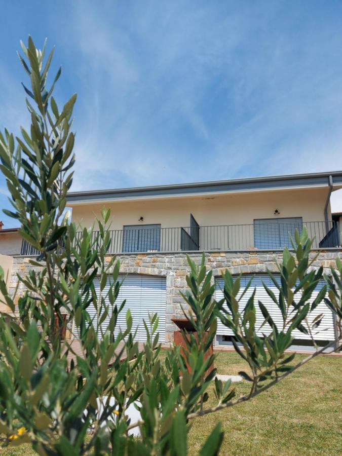 Apartmaji Aucin - Brda Kojsko Экстерьер фото