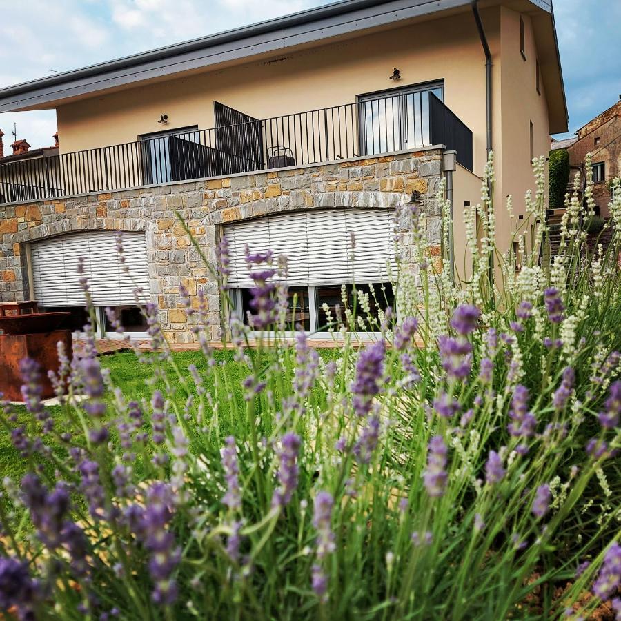 Apartmaji Aucin - Brda Kojsko Экстерьер фото